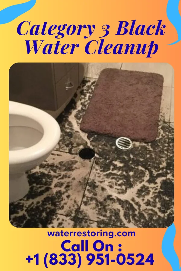 Category 3 Black Water Cleanup in Fellsburg, PA