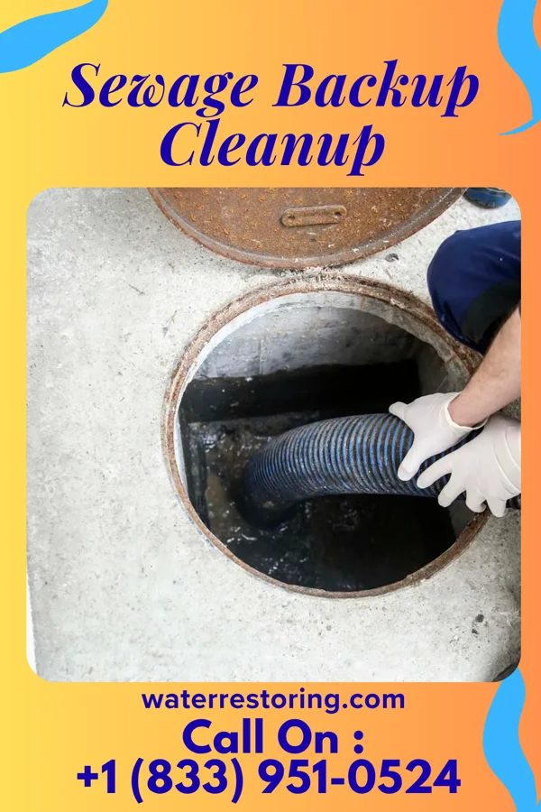Sewage Backup Cleanup in Fellsburg, PA