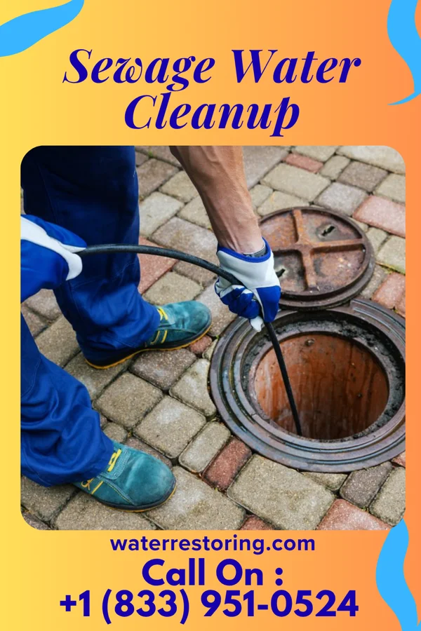 Sewage Water Cleanup in Fellsburg, PA