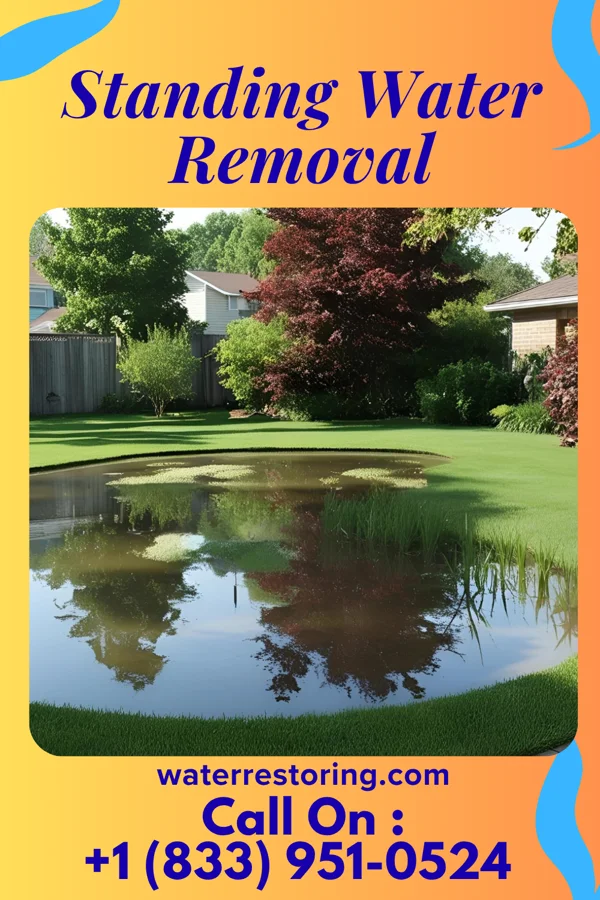 Standing Water Removal in Fellsburg, PA